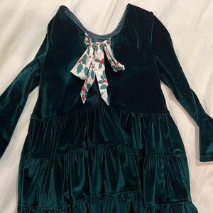 Pink Chicken Velvet Dress in Dark Green